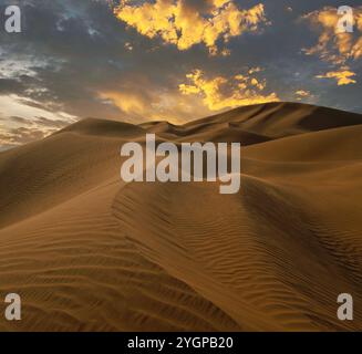 Le serene dune di sabbia ondulata di le Khwair, Oman, brillano sotto un cielo dorato al tramonto, mentre le nuvole aggiungono profondità e contrasto. Un ramo asciutto e solitario migliora il th Foto Stock