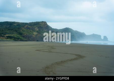 Vista serenità di Bethells Beach con il promontorio e onde in una giornata cupa a ovest di Auckland, l'Isola del Nord della nuova Zelanda Foto Stock