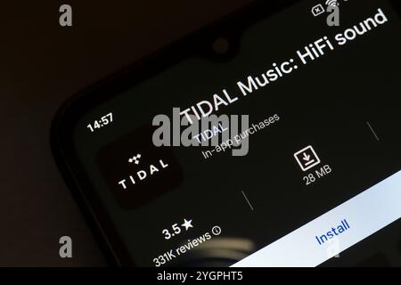 8 novembre 2024, Brasile. In questa immagine, il logo dell'app Tidal viene visualizzato sullo schermo di uno smartphone Foto Stock