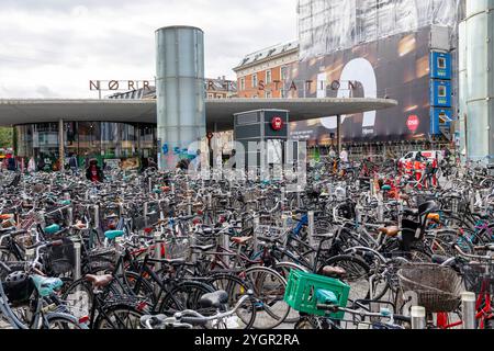 Parcheggio per biciclette per i ciclisti che lasciano le loro biciclette presso la stazione di Norreport, il più trafficato centro di Copehnagen, Danimarca Foto Stock