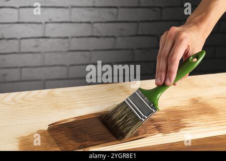 Donna con spazzola che applica macchia di legno di noce su una superficie di legno, primo piano Foto Stock