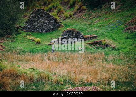 Nella foresta di Knapdale, vicino al bordo del Loch Coille Bharr, è possibile scoprire i resti della cittadina chiamata Kilmory OIB. Foto Stock