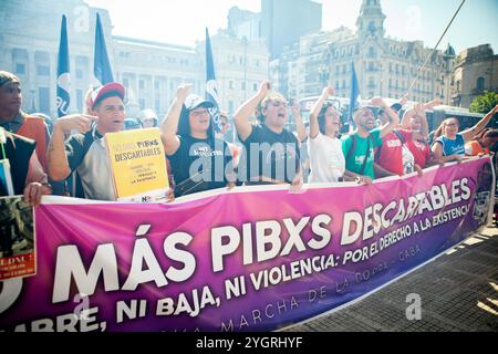 Buenos Aires, Buenos Aires, Argentina. 8 novembre 2024. Dimostrazione contro la polizia di Buenos Aires "trigger-happy" (immagine di credito: © Paula Acunzo/ZUMA Press Wire) SOLO PER USO EDITORIALE! Non per USO commerciale! Foto Stock