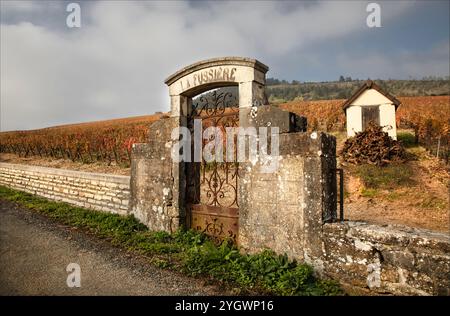 Costa d'Or, Borgogna, Francia - 24 ottobre 2024 - Gateway inot il vigneto di la Fussiere con cancello in ferro battuto Foto Stock