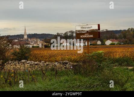 Meursault, Cote d'Or, Borgogna, Francia - 26 ottobre 2024 - Vista su un vigneto del villaggio di Meursault nella regione della Borgogna con un cartello Foto Stock