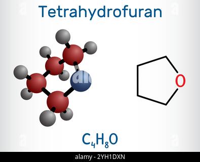 Tetraidrofurano, THF, molecola di solvente organico ossolano. Formula chimica strutturale, modello molecolare. Illustrazione vettoriale Illustrazione Vettoriale