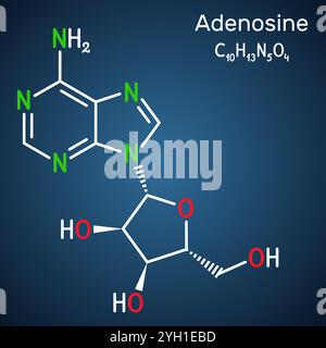 Molecola di ribonucleoside adenosina. Struttura chimica del nucleoside, sfondo blu scuro. Illustrazione vettoriale Illustrazione Vettoriale