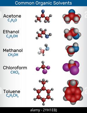 Solventi organici comuni. Struttura molecolare e modelli 3D di acetone, etanolo, metanolo, cloroformio e toluene. Illustrazione vettoriale Illustrazione Vettoriale