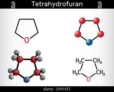 Tetraidrofurano, THF, molecola di solvente organico ossolano. Formula chimica strutturale, modello molecolare. Illustrazione vettoriale Illustrazione Vettoriale