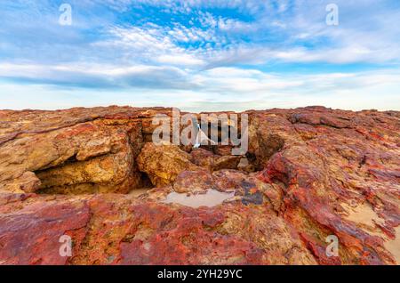 Forrest Grotte, Phillip Island, Victoria, Australia, guardando verso il mare Foto Stock