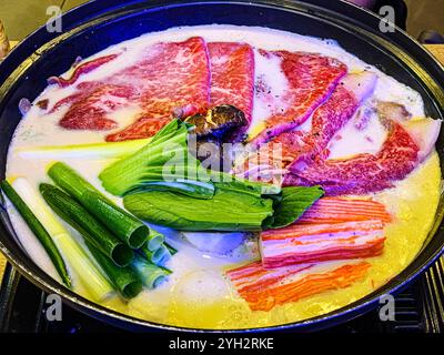 Hot Pot Feast: Una celebrazione di ingredienti saporiti Foto Stock