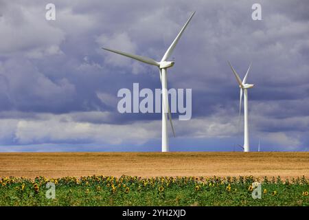 Parco eolico in Francia. Foto Stock