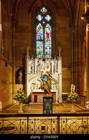 Vista interna della Cattedrale di St Mary Sydney Foto Stock