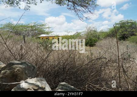 Casa gialla nelle formazioni rocciose di Ayo e Casibari, situata vicino a Oranjestad sull'isola di Aruba. Foto Stock