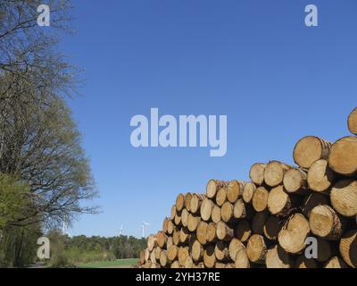 Grandi pali di legno sotto cielo azzurro con turbine eoliche distanti, stadtlohn, muensterland, germania Foto Stock