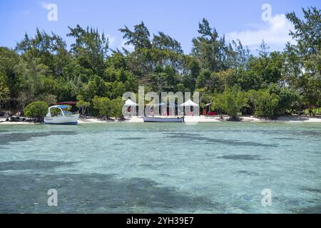 Ile aux Cerfs, Beau Champ, costa orientale, Oceano Indiano, isola, Mauritius, Africa Foto Stock