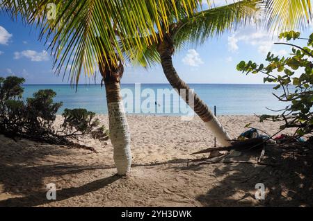 Cozumel, Quintana Roo, Messico. 30 maggio 2021: Spiaggia tropicale con due palme sull'isola di Cozumel. Foto Stock