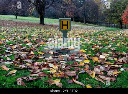 Impianto idrante antincendio in una zona forestale rurale in autumnm Foto Stock