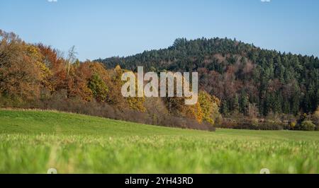 Rottweil, Germania. 9 novembre 2024. Il sole splende sullo stagno di Linsenbergweiher vicino a Rottweil. Crediti: Silas Stein/dpa/Alamy Live News Foto Stock