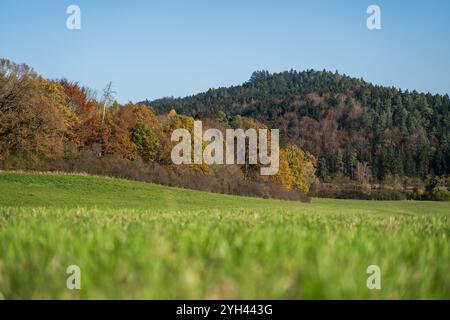 Rottweil, Germania. 9 novembre 2024. Il sole splende sullo stagno di Linsenbergweiher vicino a Rottweil. Crediti: Silas Stein/dpa/Alamy Live News Foto Stock