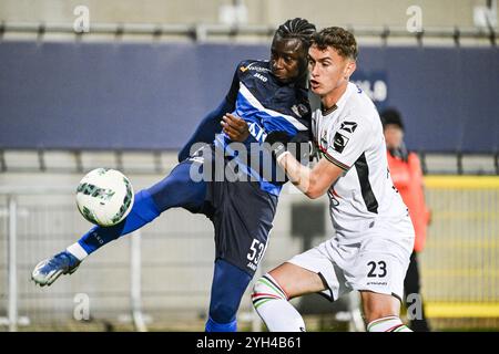 Denderleeuw, Belgio. 9 novembre 2024. Dembo Sylla di Dender e Stefan Mitrovic di OHL, in azione durante una partita di calcio tra FCV Dender EH e Oud-Heverlee Leuven, sabato 9 novembre 2024 a Denderleeuw, il giorno 14 della stagione 2024-2025 della prima divisione del campionato belga 'Jupiler Pro League'. BELGA PHOTO TOM GOYVAERTS credito: Belga News Agency/Alamy Live News Foto Stock