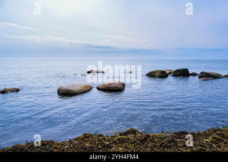 Sezione costiera che si affaccia sullo stretto di Kalmar a Södra Udde, la punta meridionale dell'isola di Öland, Kalmar län, Svezia. Foto Stock