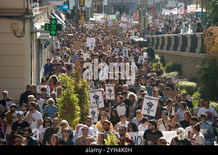 I manifestanti sono visti portare cartelli e striscioni mentre partecipano a una manifestazione contro il turismo di massa in città e chiedono un alloggio decente. Migliaia di persone sono scese per le strade nel centro di Malaga per protestare contro l'aumento dei prezzi di affitto. Negli ultimi anni, la città ha vissuto una grave crisi abitativa, in gran parte a causa di speculazioni sugli affitti e di un processo di gentrificazione, che ha reso difficile per molti l'accesso a un sistema abitativo decente. Le associazioni e le organizzazioni locali di vicinato chiedono l'introduzione di misure volte a limitare i prezzi di affitto e. Foto Stock