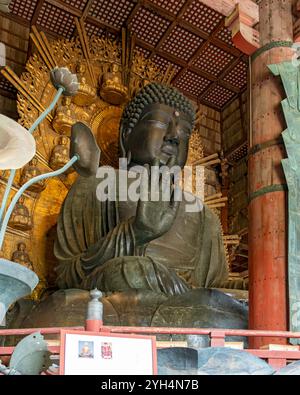 Daibutsu - il grande Buddha, Tōdai-ji - tempio Todaiji, Nara, Giappone Foto Stock