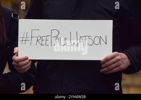Londra, Regno Unito. 9 novembre 2024. Un manifestante tiene un cartello "Free Paul Watson" durante una manifestazione fuori dal Parlamento a Westminster a sostegno dell'attivista anti-baleniera Paul Watson. Il fondatore del gruppo di conservazione Sea Shepherd è stato arrestato in Groenlandia e sta affrontando in Giappone l'accusa di complice dell'aggressione e della violazione delle navi, il che ha potuto vederlo ottenere una condanna a 15 anni di carcere. (Foto di Vuk Valcic/SOPA Images/Sipa USA) credito: SIPA USA/Alamy Live News Foto Stock
