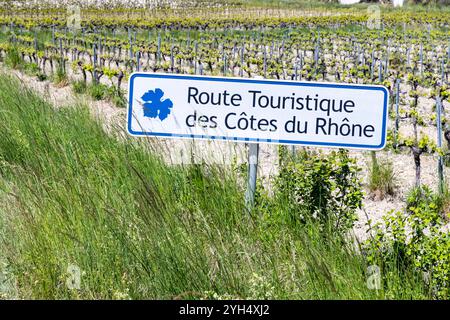 Tipico vigneto con strada del vino (Route Touristique des Cotes du Rhone) vicino a Faucon, Cotes du Rhone, Francia Foto Stock