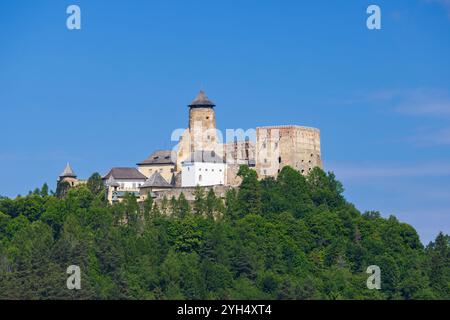 Castello di Stara Lubovna, regione di Presov, Slovacchia Foto Stock