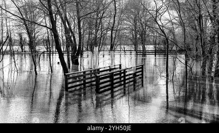 Paesaggio invernale con campi allagati a St Ives, Cambridgeshire Foto Stock