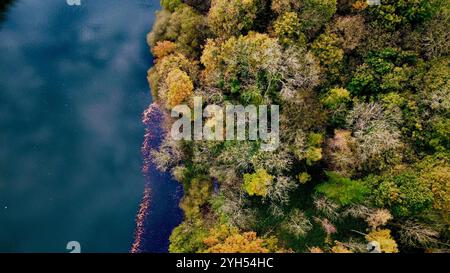 Splendida vista aerea di una fitta foresta autunnale accanto a un tranquillo lago. Foto Stock