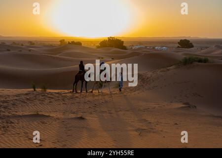 I turisti che vivono un giro in cammello la mattina presto durante l'alba nel deserto del Sahara in Marocco, Africa. Foto Stock