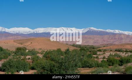 Montagne innevate dell'Atlante viste dalla terra bassa nel 2024 Autunno, Marocco. Foto Stock