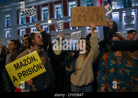 Madrid, Spagna. 10 novembre 2024. Decine di persone si sono riunite a Puerta del Sol a Madrid per partecipare alle manifestazioni che sono state convocate in Spagna per questo 9 novembre per chiedere le dimissioni del presidente della Generalitat Valenciana, Carlos Mazón, accusato di cattiva gestione durante la DANA che ha colpito la regione il 29 ottobre e che ad oggi ha causato la morte di oltre 200 persone. Crediti: D. Canales Carvajal/Alamy Live News Foto Stock