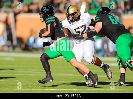 9 novembre 2024: Il running back North Texas Mean Green Shane Porter (31) corre con la palla durante la prima metà della partita di football NCAA tra Army e University of North Texas allo stadio DATCU di Denton, Texas. Ron Lane/CSM Foto Stock