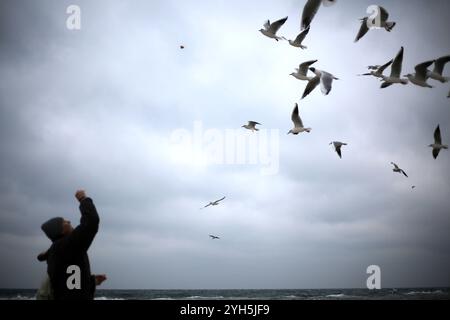 Odessa, Ucraina. 9 novembre 2024. La gente dà da mangiare ai gabbiani quando c'è vento a Langeron Beach. Il Centro idrometeorologico ucraino ha emesso un avvertimento di tempesta per Odessa nei prossimi giorni. (Foto di Viacheslav Onyshchenko/SOPA Images/Sipa USA) credito: SIPA USA/Alamy Live News Foto Stock