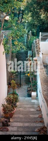 Un panorama verticale di una scala in pietra con piante in vaso e foglie essiccate conduce ad un piccolo cancello di ferro e ad uno stretto sentiero del giardino. Un muro bianco e tre Foto Stock