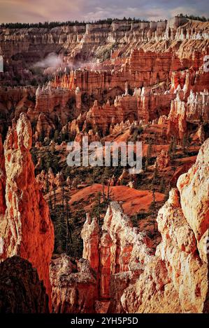 L'alba dorata illumina il Parco Nazionale del Bryce Canyon, Utah, che diffonde calde sfumature sugli iconici hoodoos e le aspre scogliere. Foto Stock