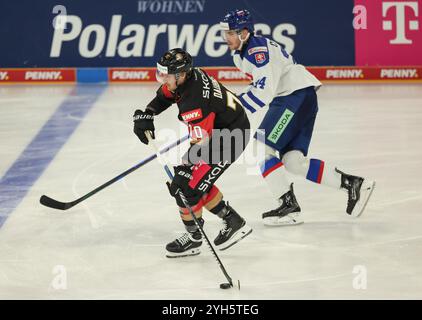 Landshut, Germania. 9 novembre 2024. Hockey su ghiaccio: Germania Cup, Germania - Slovacchia, fase a gironi, partita 2. Maximilian Daubner dalla Germania (l) e Peter Cehlarik dalla Slovacchia in azione. Crediti: Daniel Löb/dpa/Alamy Live News Foto Stock