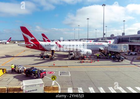 Aeromobili QantasLink Airbus A220-300 al Terminal 1, Aeroporto di Melbourne, Tullamarine, Melbourne, Victoria, Australia Foto Stock