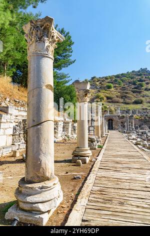 Rovine panoramiche dell'agorà a Efeso (Efes) in Turchia Foto Stock