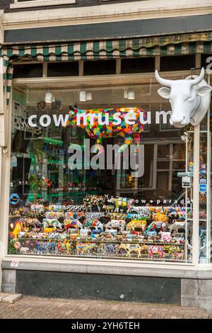 Amsterdam, NL - 10 ottobre 2021: Vari giocattoli e statuette a forma di mucca venduti al Museo della mucca di Amsterdam, NL. Foto Stock