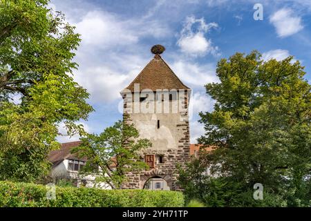 Storchenturm am Schloss Beuggen, Rheinfelden, Baden-Württemberg, Deutschland | Storchenturm Stork Tower of Beuggen Castle, Rheinfelden, Baden-Württem Foto Stock