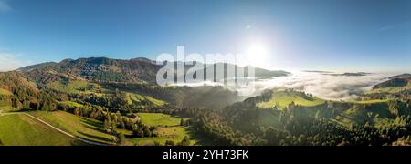 Foto di paesaggio aereo sopra le nuvole di basso livello in una mattina autunnale nelle montagne della foresta di Bregenz, Vorarlberg, Austria Foto Stock