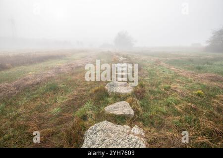 Un sentiero in pietra o in pietra conduce attraverso una riserva naturale in una fitta nebbia. Foto del paesaggio: Baldenau, Morbach, Hunsrück, Renania-Palatinato Foto Stock