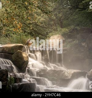 Cascata tranquilla sulle rocce nel lussureggiante ambiente boschivo Foto Stock