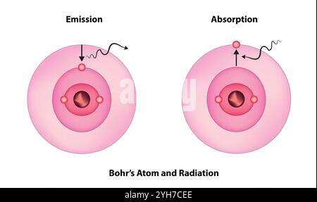 Modello atomico di Bohr (gli elettroni orbitano attorno al nucleo a livelli di energia fissi). Illustrazione Vettoriale