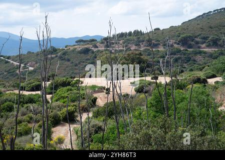 Il paesaggio di capo merluzzo a Capoliveri, con le famose miniere di ferro dell'isola d'Elba in provincia di Livorno Foto Stock